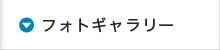 フォトギャラリー